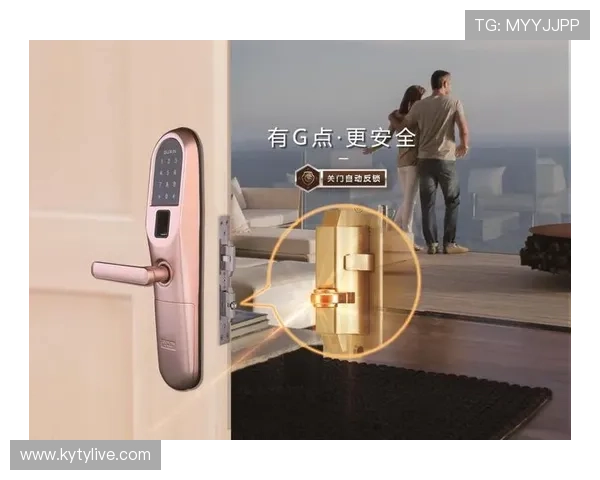 开云网页登入的安全性及保护措施解析