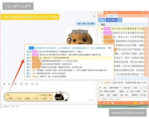 开云Kaiyun电脑版官网用户支持与客服联系方式全方位指南