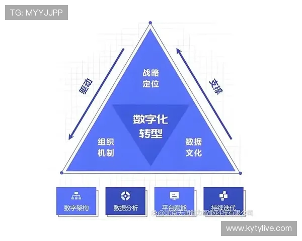 开云旗下品牌在数字化转型中的创新实践与用户体验提升方案